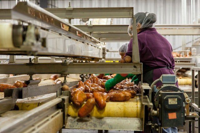 a group of people working on a conveyor belt